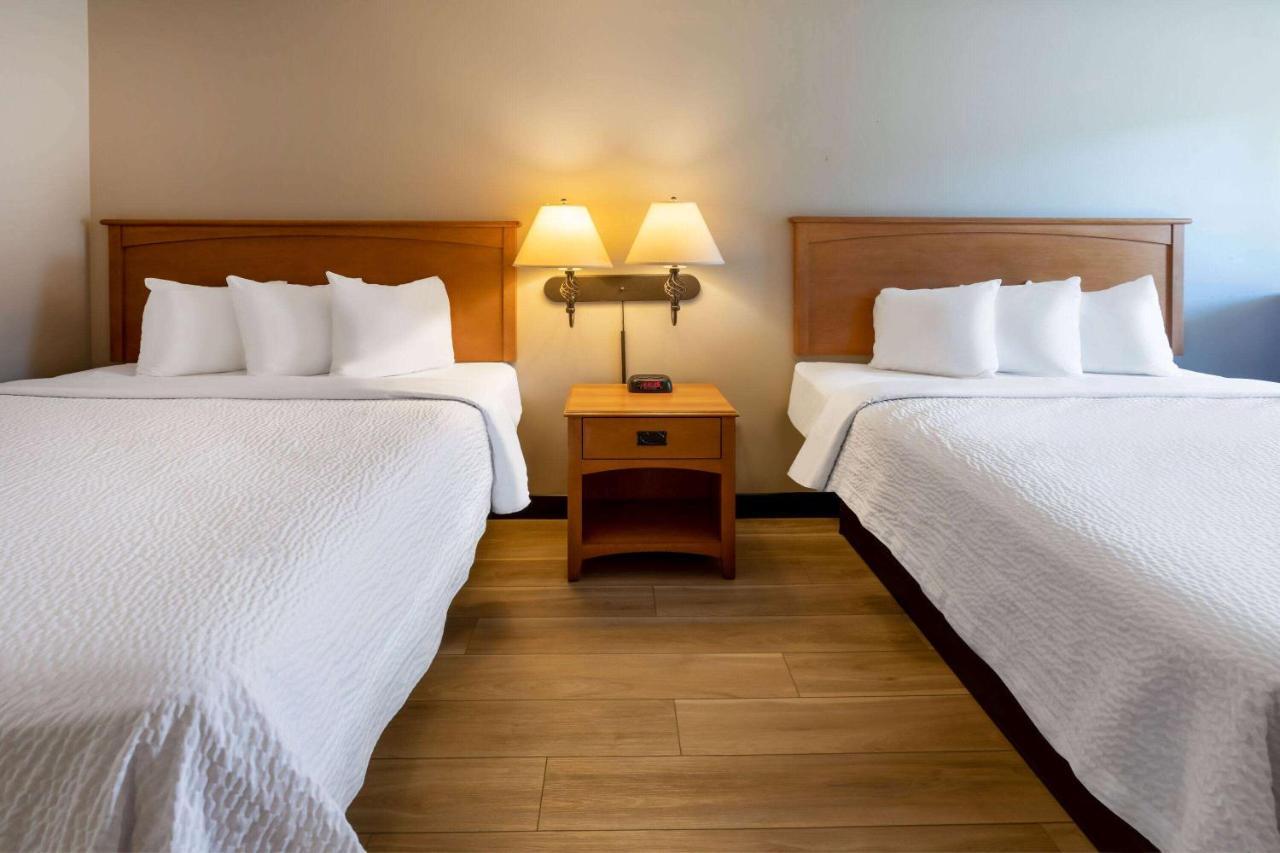 Days Inn By Wyndham Birch Run Esterno foto